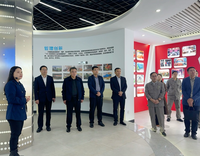 研究院协同武科大调研广西贵港钢铁集团有限公司，深化产教融合实效